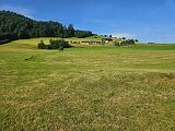 Rossfeld (229)